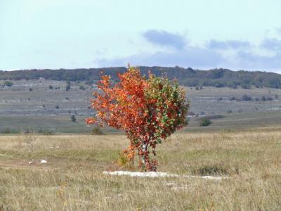 Прикрепленное изображение: DSCF5801.jpg